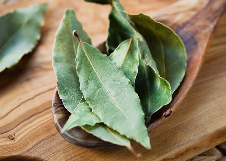 8 εκπληκτικά οφέλη από τα φύλλα της δάφνης