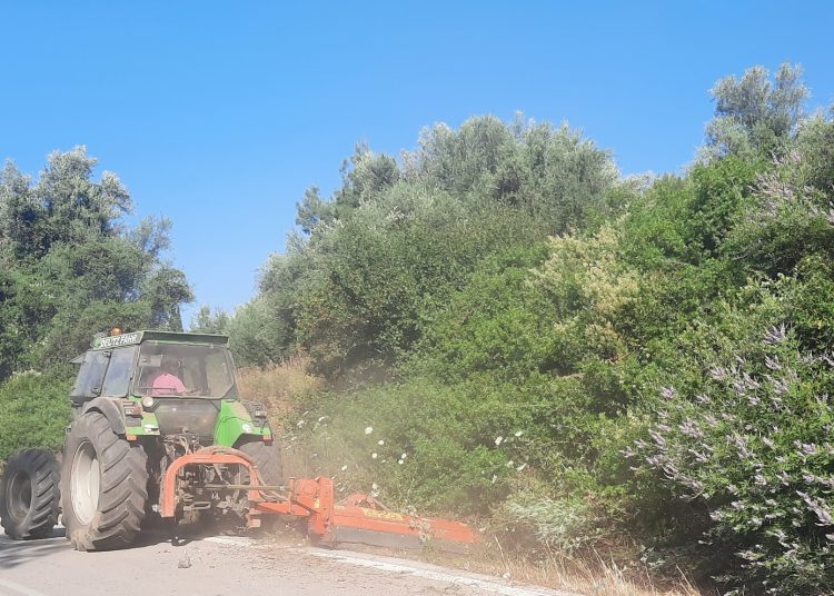 Εθνική Πύργου-Τρίπολης: Καθαρισμός της επικίνδυνης πυκνής βλάστησης