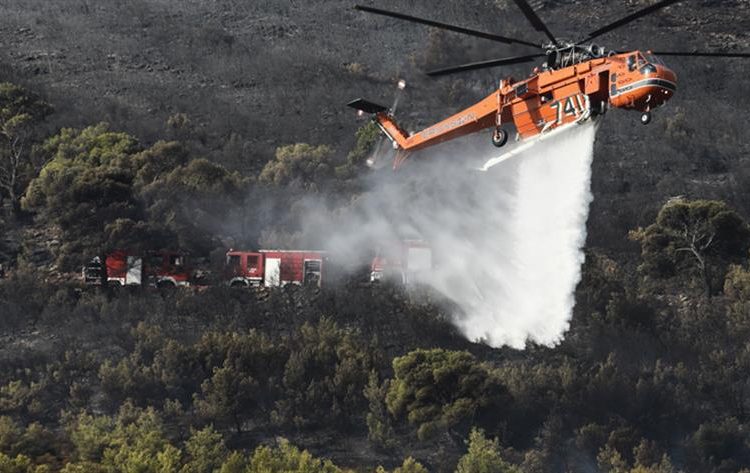 Τέθηκε υπό έλεγχο η φωτιά στo Φανάρι Ανδρίτσαινας
