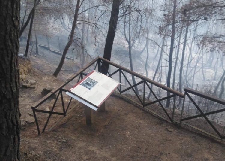 Ντροπή ! …ο Αρχαιολογικός Χώρος στις Πόρτες κατακάηκε…