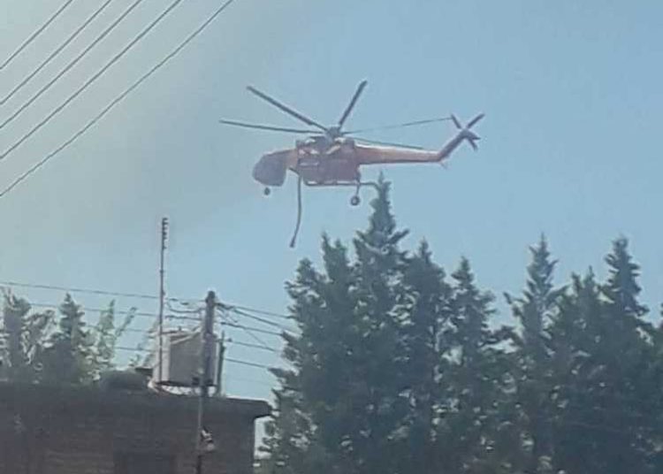 ΠΥΡΓΟΣ: Σβήστηκε η φωτιά πλησίον του Δημοτικού Σταδίου  (φωτο)