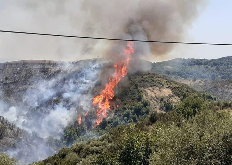 Ανεξέλεγκτη η φωτιά στην Πηνεία- Κάτοικοι συγκεντρώνονται όλοι μαζί -Πυρκαγιά και στο Τραγανό