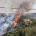 Ανεξέλεγκτη η φωτιά στην Πηνεία- Κάτοικοι συγκεντρώνονται όλοι μαζί -Πυρκαγιά και στο Τραγανό