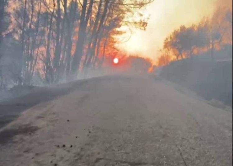 Κρέστενα: “Πύρινη κόλαση”! – Σε δύσβατη χαράδρα το μεγαλύτερο μέτωπο – Επιχειρούν εναέρια μέσα από το πρωί(Φωτο)