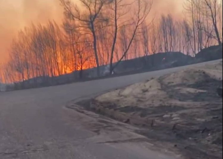 Κρέστενα: “Πύρινη κόλαση”! – Σε δύσβατη χαράδρα το μεγαλύτερο μέτωπο – Επιχειρούν εναέρια μέσα από το πρωί(Φωτο)