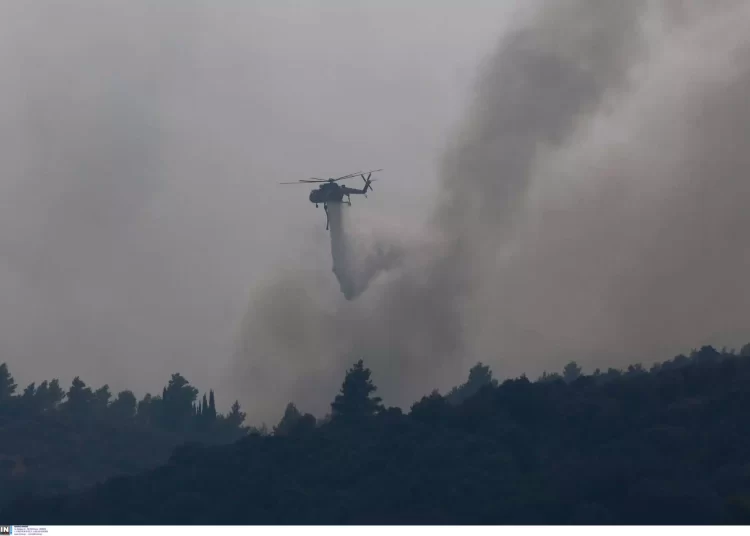 Φωτιά στην Ηλεία: Στο νοσοκομείο πυροσβέστης – «Δεν κινδυνεύει ακόμα το χωριό Κορυφή» λέει ο δήμαρχος