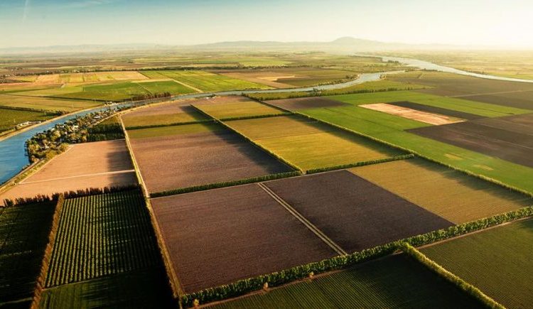 Εκτάσεις Αγουλινίτσας, Μουριάς & Κάστας: Έρχεται ευνοϊκή αλλαγή για τους καλλιεργητές