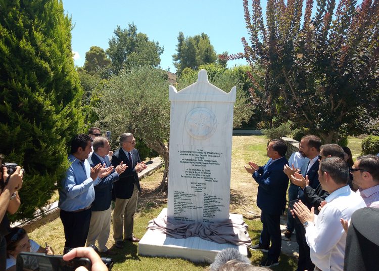 Ολυμπία: 135.000 δέντρα ελιάς θα ζωντανέψουν ξανά την παραγωγή