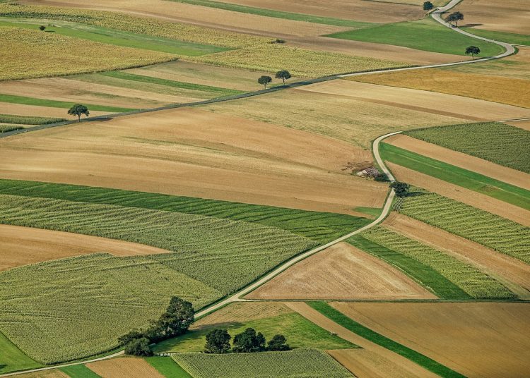 Ορθοφωτοχάρτες 22: Έρχεται στην Ηλεία το πρόγραμμα δήλωσης αγροτεμαχίων