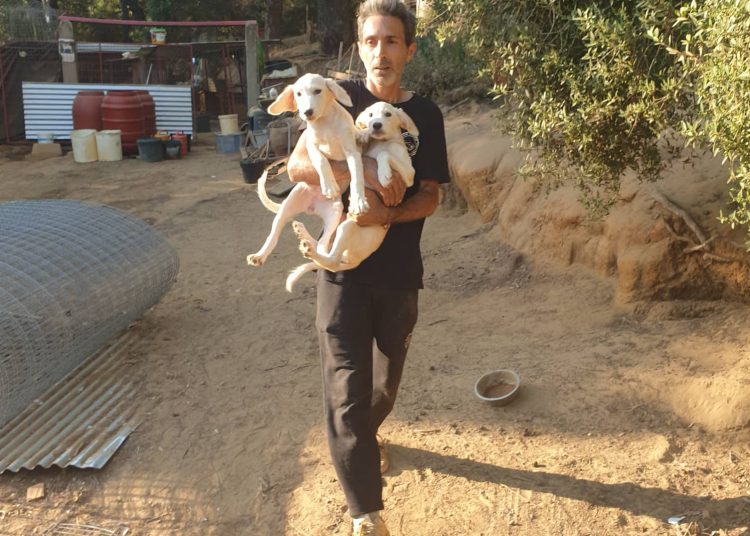 Ο Φιλοζωικός Σύλλογος Κρεστένων ζητά βοήθεια για τα πυρόπληκτα ζώα