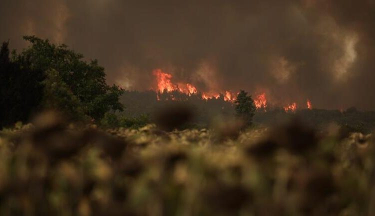 Ανασυγκρότηση Ηλείας από πυρκαγιές του 2021: Μηδέν το έργο της κυβέρνησης ένα χρόνο μετά