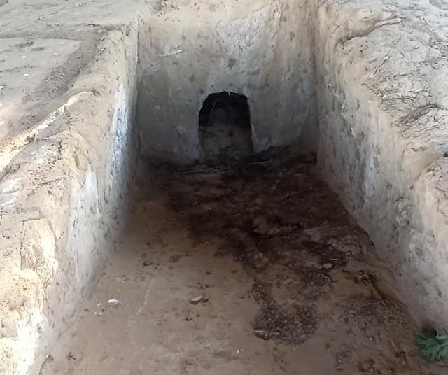 Μυκηναϊκό Νεκροταφείο Δάφνης Ηλείας