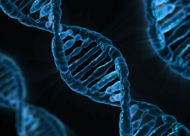 Αρχαίο DNA: Τι αποκαλύπτει για την ιστορία της Ελλάδας, της Νότιας Ευρώπης και της Ανατολίας