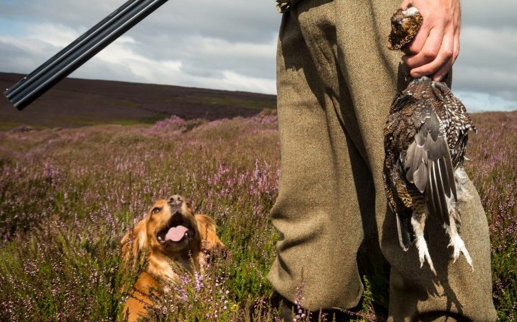 Aρχίζει στις 20 Αυγούστου η νέα κυνηγετική περίοδος 2022/23