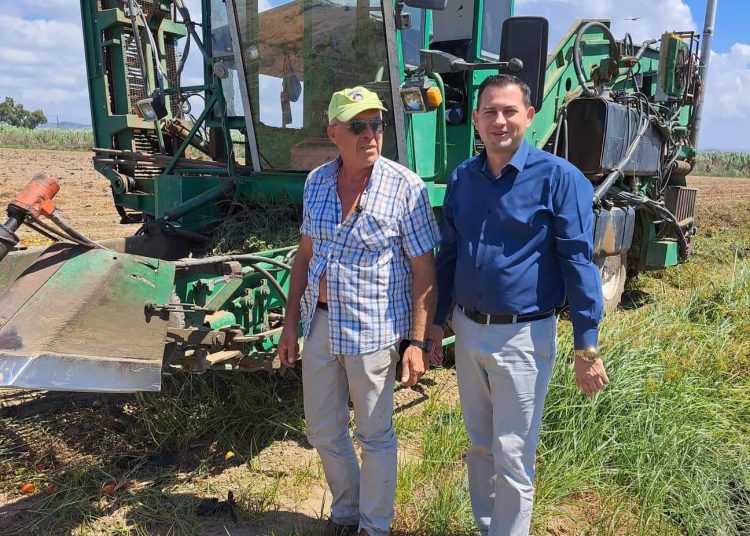 Παραμένει κυρίαρχο προϊόν η βιομηχανική τομάτα στην Ηλεία