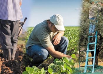 Πρόγραμμα ¨Εγκατάσταση Νέων Γεωργών¨: Ενισχύσεις 33.150.250 ευρώ σε νέους γεωργούς Δ. Ελλάδας