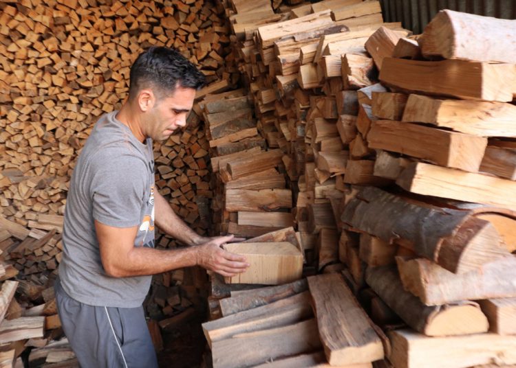 Δωρεάν καυσόξυλα σε ορεινές περιοχές-Πως θα δοθούν-Τι ισχύει