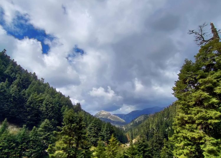 Το Δίβρις hard trail γίνεται θεσμός