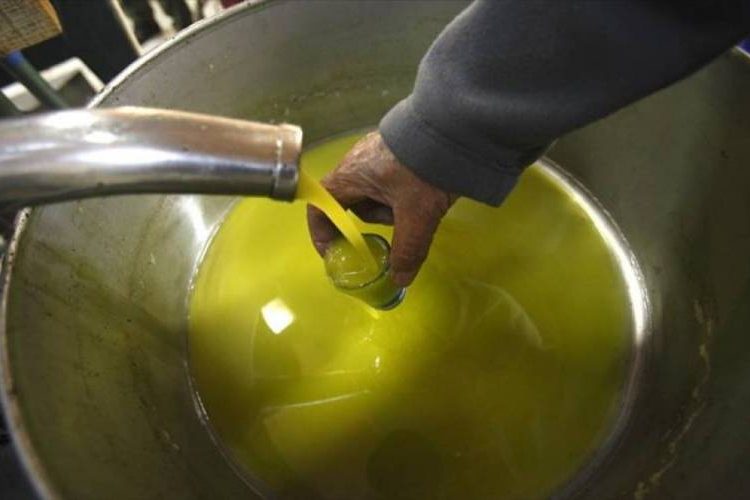 Λάδι: Στα 5 ευρώ το κιλό η πρώτη τιμή εκκίνησης για το φρέσκο ελαιόλαδο