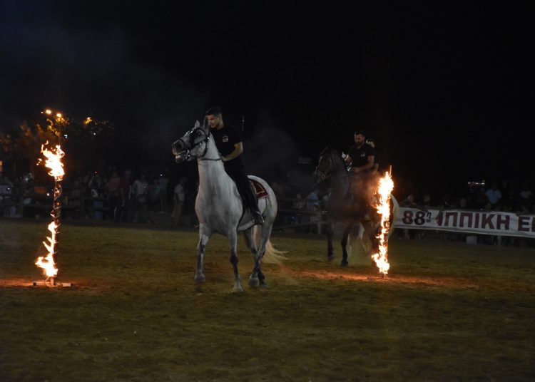 Εντυπωσίασε και φέτος η Ιππική Έκθεση Ανδραβίδας-Μια λαμπερή γιορτή αλόγων στην Ηλεία