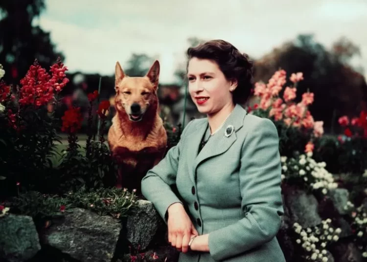 Ελισάβετ: Η μακροβιότερη βασίλισσα – Αφοσίωση στο καθήκον μέχρι την τελευταία της ανάσα