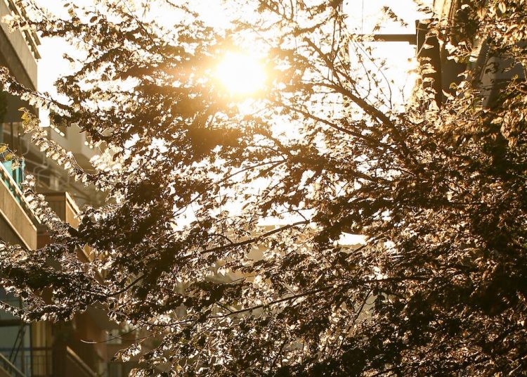 Φθινοπωρινή ισημερία σήμερα-Αρχίζει να μικραίνει η μέρα