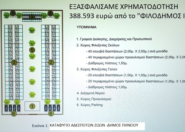 Δήμος Πηνειού: Θα κατασκευαστεί καταφύγιο αδέσποτων