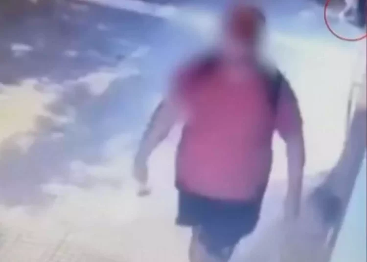 Διδάκτωρ στο ΑΠΘ ο άντρας που σκότωσε το γατάκι – Τι λέει ο ίδιος για την κτηνωδία