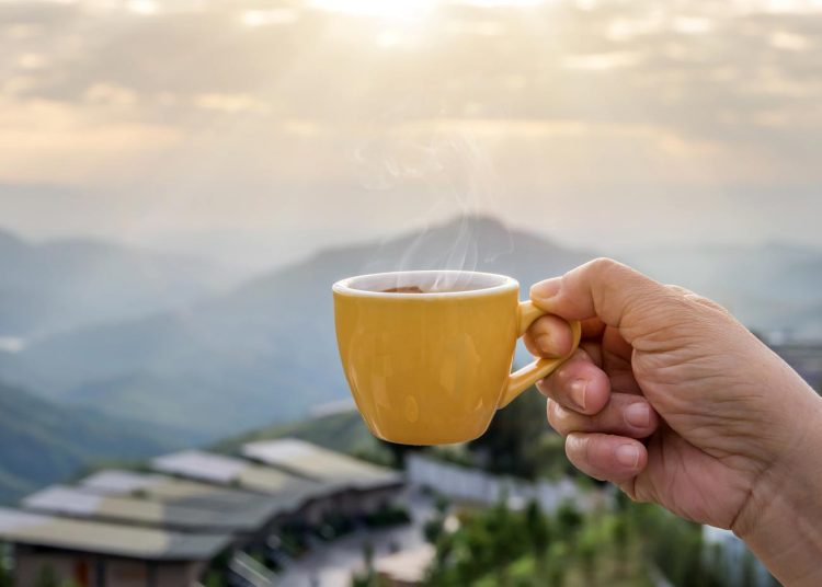 Ποιες είναι οι επιπτώσεις του καφέ στην υγεία