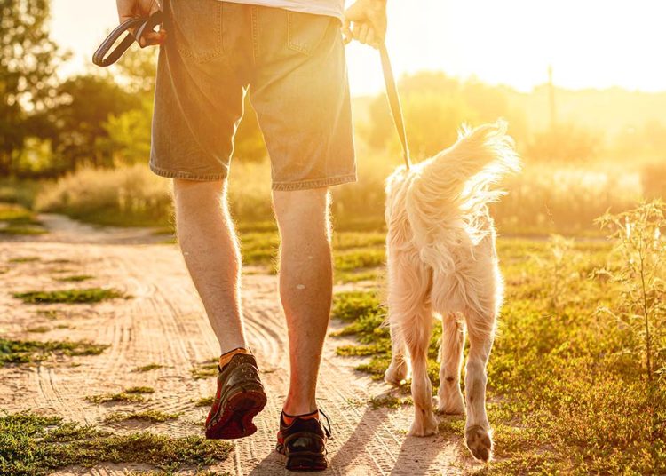 Οκτώ καλοί λόγοι να βγείτε για περπάτημα το πρωί