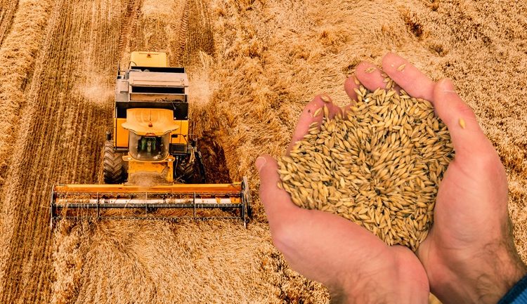 Αναμένεται εφιαλτικό σπιράλ ανατιμήσεων στα τρόφιμα