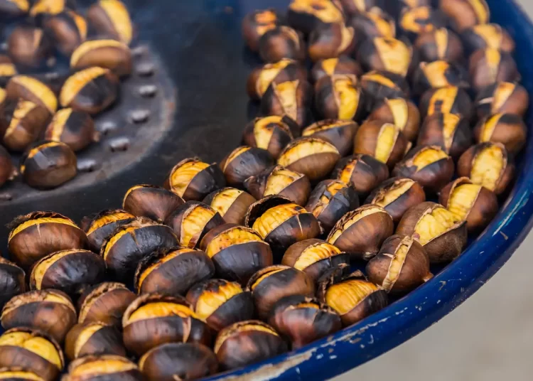 Δε χαρίζω κάστανα: Πώς βγήκε η φράση