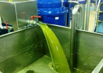 Καλπάζει η τιμή του ελαιόλαδου – Μικρές συσκευασίες προτιμούν οι καταναλωτές