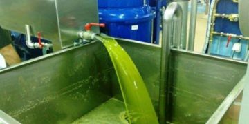 Καλπάζει η τιμή του ελαιόλαδου – Μικρές συσκευασίες προτιμούν οι καταναλωτές