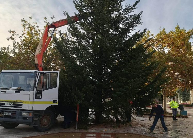 Πύργος: Έναρξη στολισμού – Τοποθετήθηκε το χριστουγεννιάτικο δέντρο στην κεντρική πλατεία