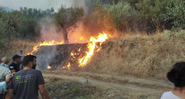 Ηλεία: Μεγάλες φωτιές στο Λαμπέτι και στην Ανάληψη, πριν τη βροχή