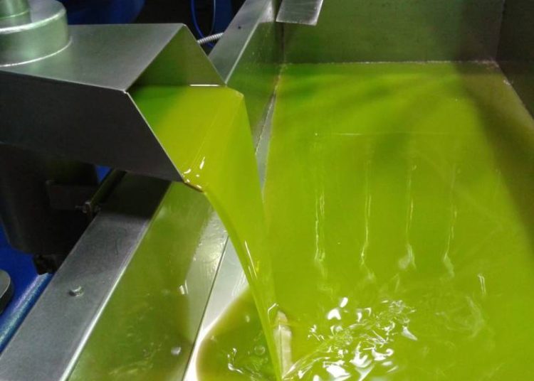 Στα 4,80 η τιμή του ελαιολάδου – Ισχυρή ανοδική τάση στο φουλ της παραγωγής