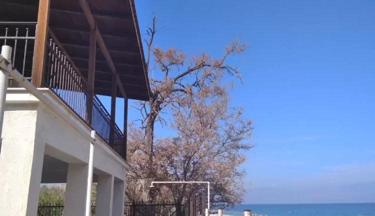 Ίδρυση Γεωργικής Σχολής του υπουργείου Αγροτικής Ανάπτυξης, στην Αιγιάλεια!!