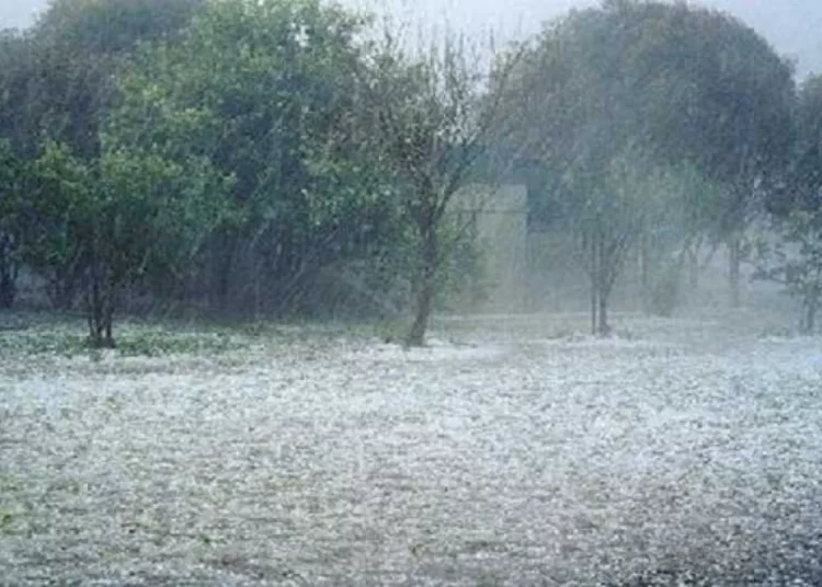 ΠΥΡΓΟΣ: Έντονη χαλαζόπτωση νωρίς το πρωί