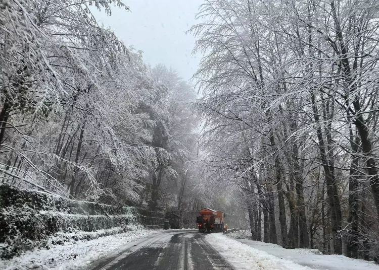 Καιρός: Κόντρα μετεωρολόγων για το ψύχος του Φεβρουαρίου – «Έρχονται χιόνια στα πεδινά» – «Είναι νωρίς, μην πιστεύετε κανένα»