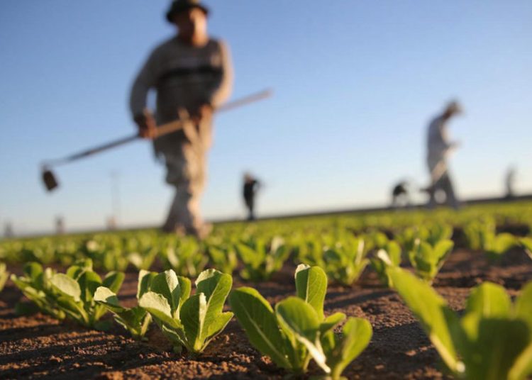 Σε κίνδυνο η αγροτική παραγωγή Ηλείας-Η ΔΕΗ θα κόβει ρεύμα στους ΤΟΕΒ