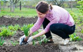 Σαλμώνη: Γεωπονική συνάντηση αύριο με θέμα την παραγωγή