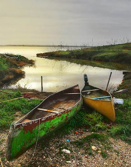 Λιμνοθάλασσα Κοτυχίου: Ο Παράκτιος παράδεισος της Ηλείας