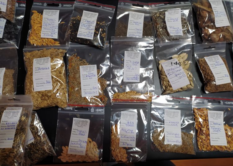 Στρέφι: Εκδήλωση για τους ντόπιους σπόρους- Υγιεινός τρόπος ζωής & σεβασμός στο περιβάλλον