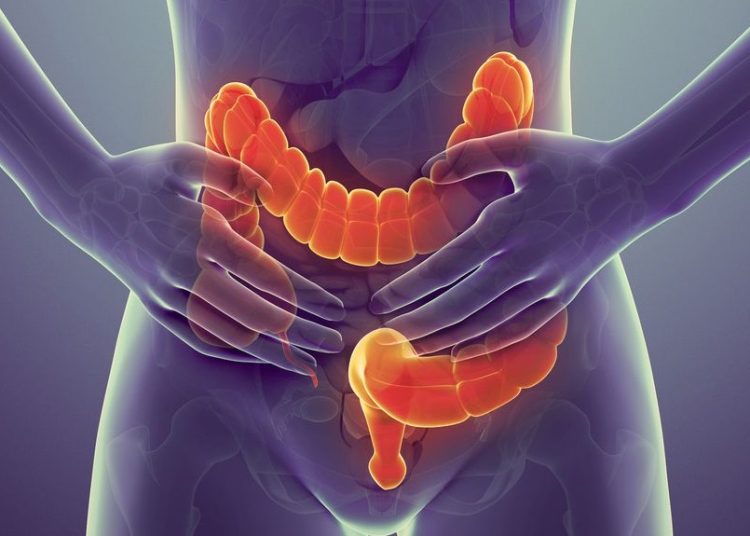 Έντερο: Το απρόσμενο όφελος της άσκησης