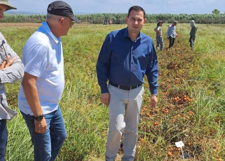 Ηλεία: Παρατείνεται μέχρι τέλος του 2023 η χρήσης αγροτικών ακινήτων