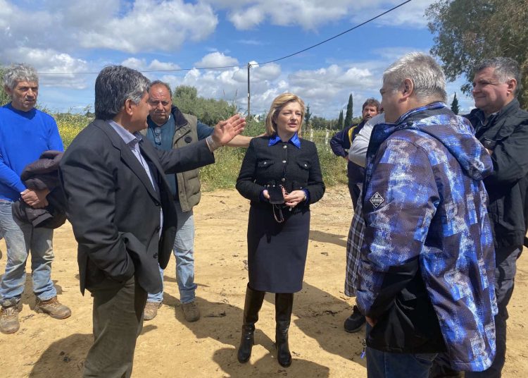 Στις επιτόπιες αυτοψίες του ΕΛΓΑ παρευρέθηκε η Δ. Αυγερινοπούλου Άμεσα καταγράφονται οι ζημίες από το χαλάζι