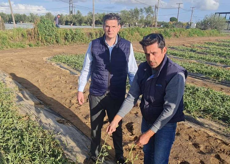 Διονύσης Καλαματιανός: «Άμεση εκτίμηση και αποζημίωση των πληγέντων αγροτών»