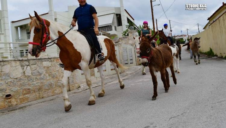 Τα παράξενα των εκλογών: Έριξαν φυτοφάρμακο σε εκλογικό τμήμα-Πήγε να ψηφίσει με γαϊδούρια-Πρώτα ψήφισαν μετά παντρεύτηκαν