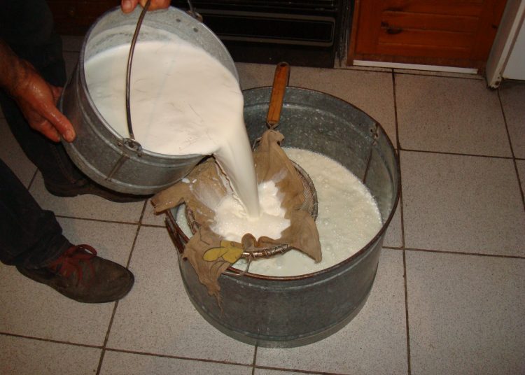 Γάλα-Φέτα: Ρίχνουν τιμές οι βιομήχανοι-Πιέζονται οι παραγωγοί